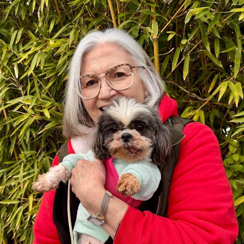 Carolina Delsa - ethical Shih Tzu breeder with 10+ years experience